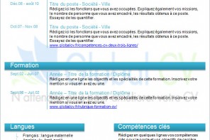 exemple cv turquoise